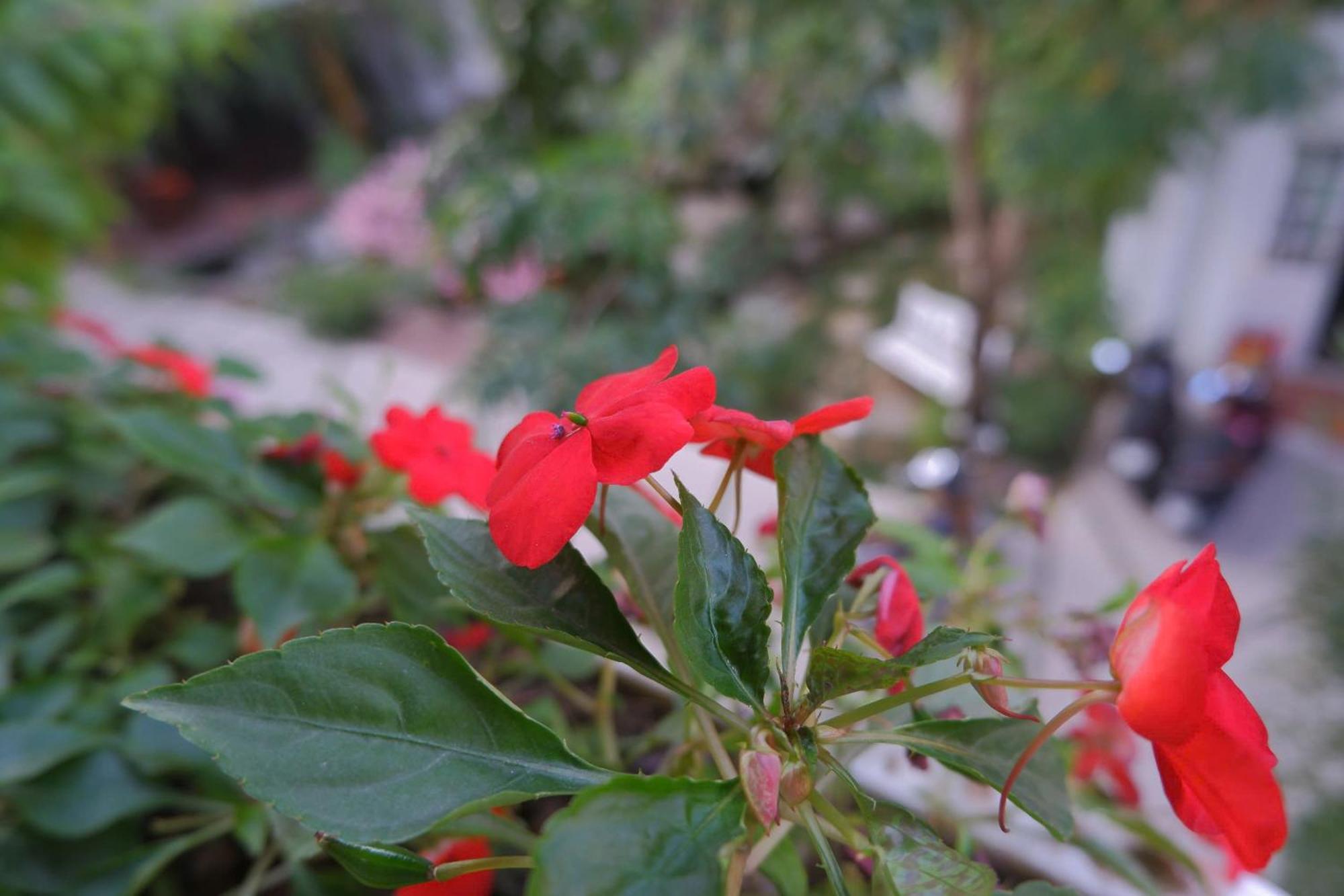 האי פונג Tuong VI Hotel מראה חיצוני תמונה