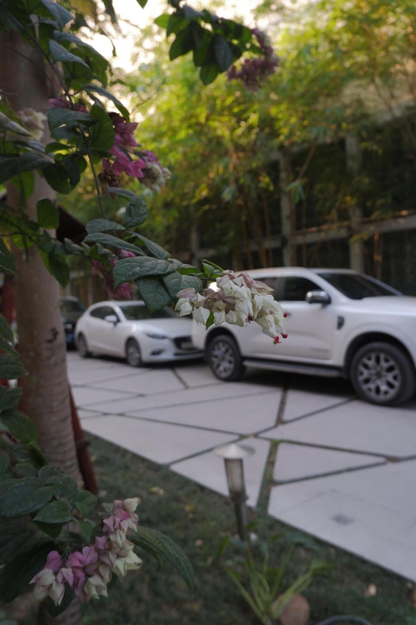 האי פונג Tuong VI Hotel מראה חיצוני תמונה